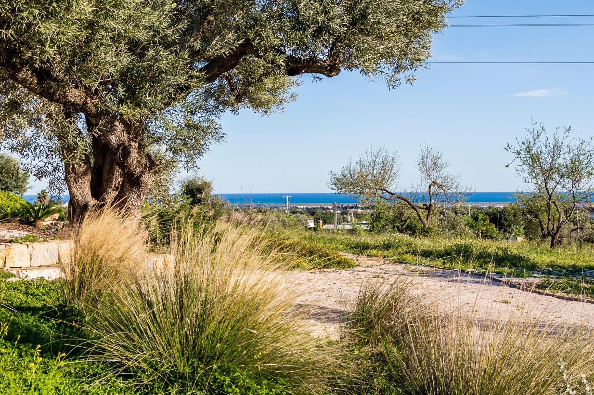 タヴィラ Quinta Da Baleeiraヴィラ エクステリア 写真